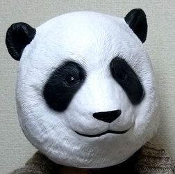熊猫面具爆料视频,揭秘背后惊人真相