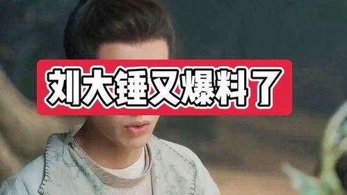 娱乐圈刘大锤爆料事件,揭秘明星幕后真相